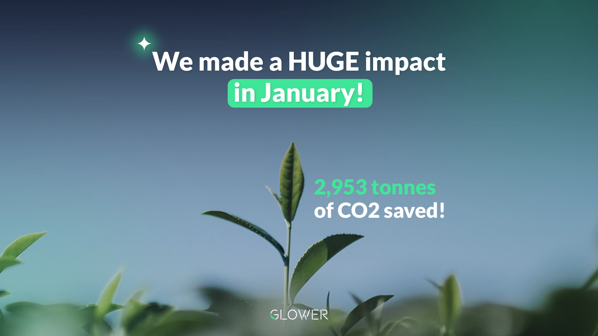 Young green plant growing with text overlay about CO₂ savings, highlighting sustainable energy impact.