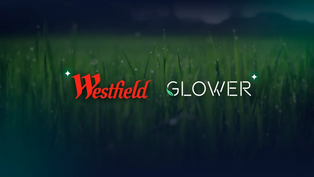Westfield and Glower logos on green grass background representing clean energy partnership in Victoria.
