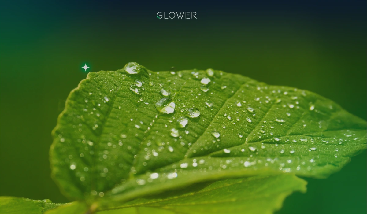 Green leaf with dew drops in natural light, representing renewable energy and sustainability by Glower.