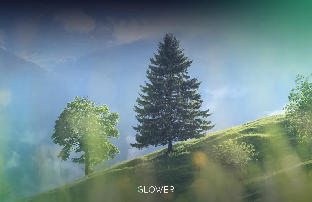 Australian home with solar panels representing Glower’s CO₂ savings in October.